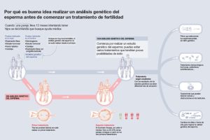 2023 02 Analisis Espermatozoides (Cimab) - Imagenes Web